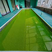 fluorosceina bio verde piscina