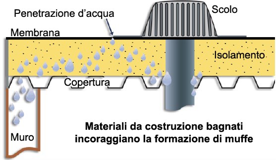 muffa isolamento